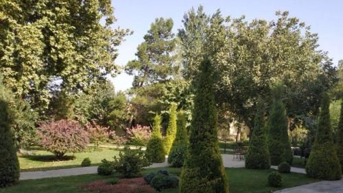 Outdoor Pictures 18