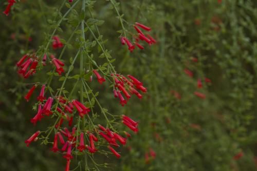 Outdoor Pictures 24