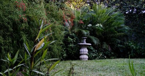 Outdoor Pictures 23
