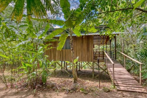 Selva Bananito Lodge