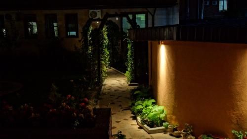 Outdoor Pictures 24