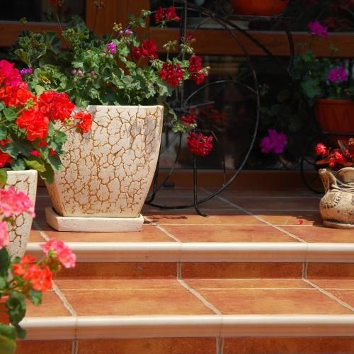Outdoor Pictures 8