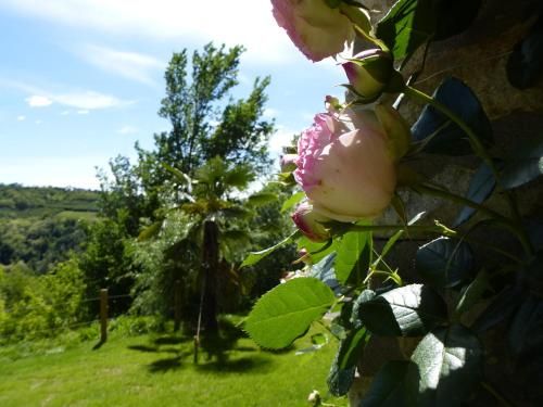 Outdoor Pictures 13