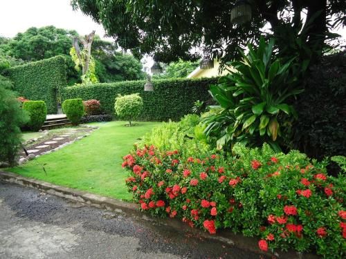 Outdoor Pictures 22