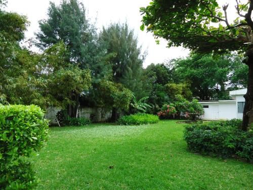 Outdoor Pictures 21
