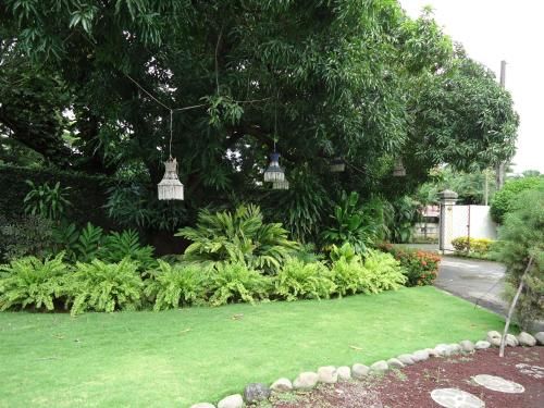 Outdoor Pictures 19