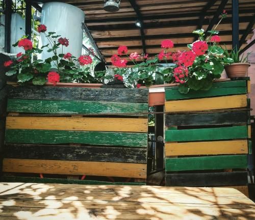 Outdoor Pictures 15