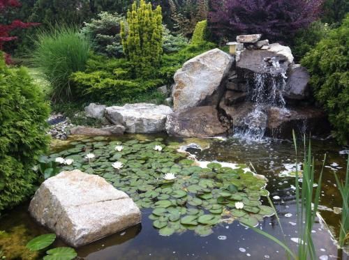 Outdoor Pictures 19