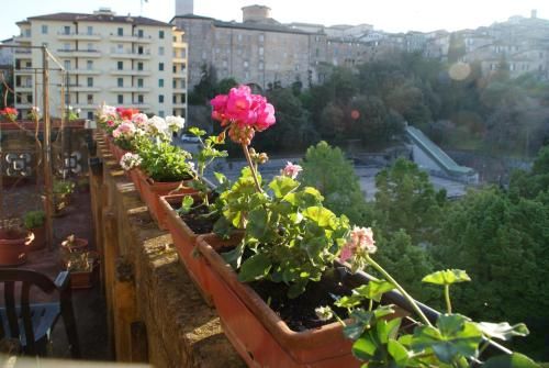 Outdoor Pictures 1
