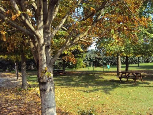 Outdoor Pictures 13