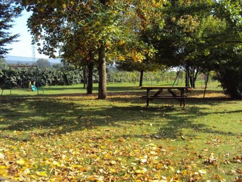 Outdoor Pictures 14