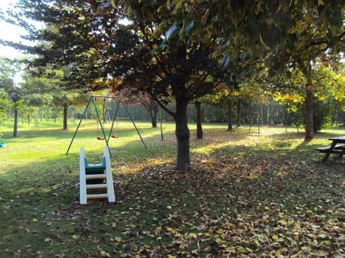 Outdoor Pictures 15
