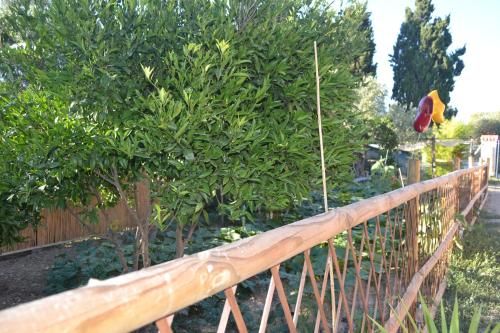 Outdoor Pictures 18