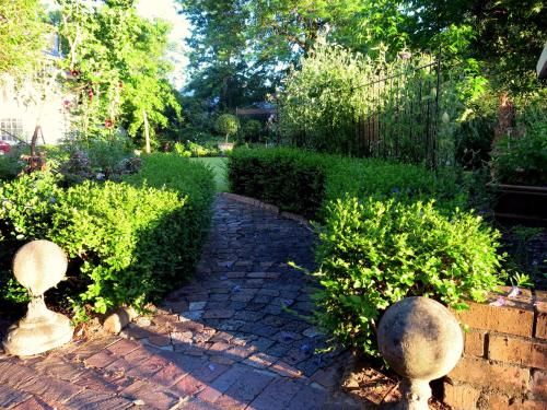 Outdoor Pictures 19