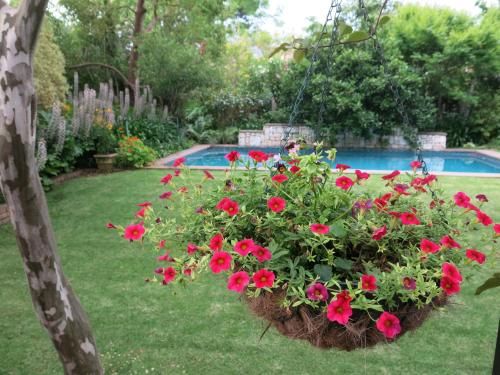 Outdoor Pictures 20