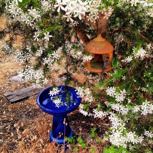 Outdoor Pictures 4