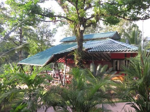 Oasis de las Palmas