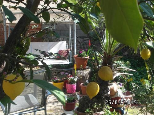Outdoor Pictures 5