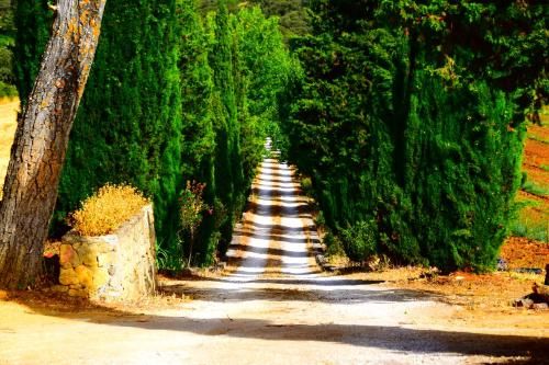 Outdoor Pictures 22