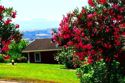 Outdoor Pictures 23