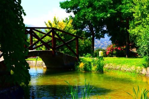 Outdoor Pictures 18