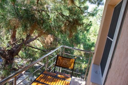 Outdoor Pictures 1