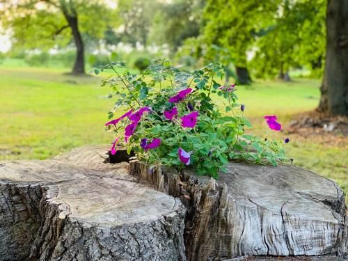 Outdoor Pictures 1