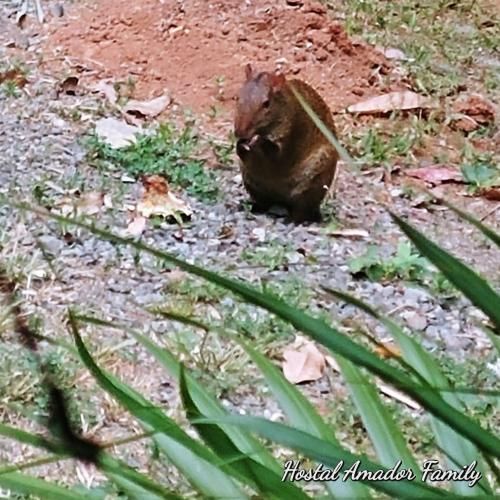 Outdoor Pictures 22