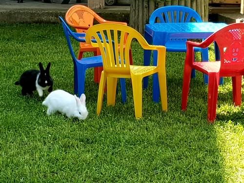 Outdoor Pictures 20