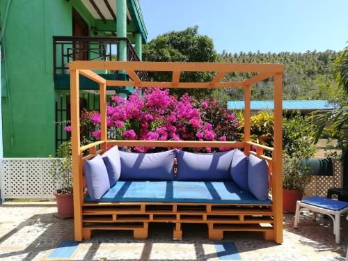 Outdoor Pictures 24
