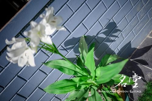 Outdoor Pictures 21