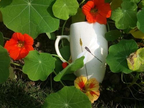 Outdoor Pictures 9
