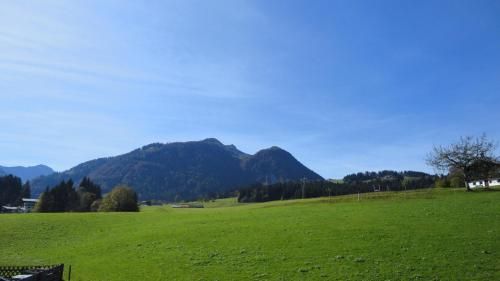 Outdoor Pictures 14