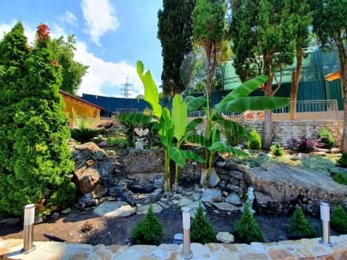Outdoor Pictures 22