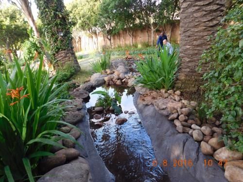 Outdoor Pictures 19