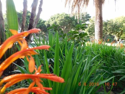 Outdoor Pictures 20