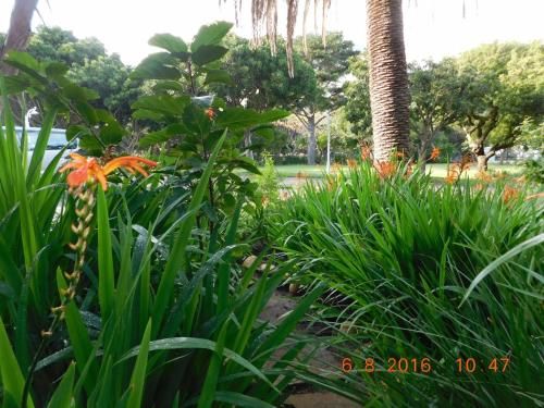 Outdoor Pictures 21