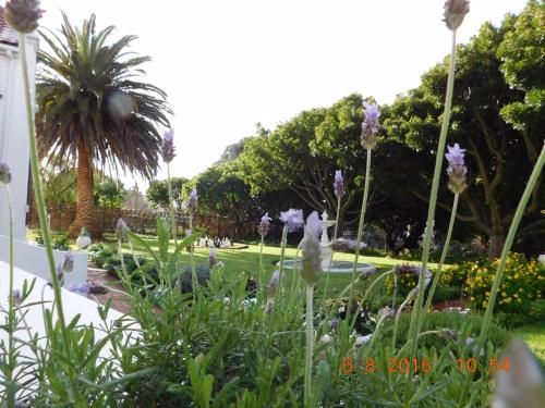 Outdoor Pictures 24