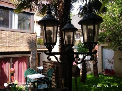 Outdoor Pictures 12