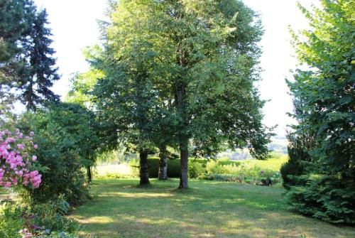 Outdoor Pictures 14