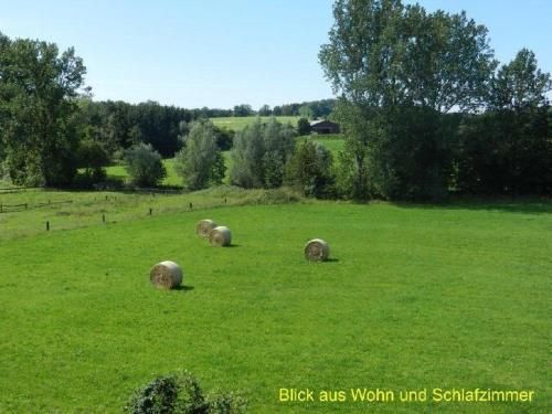 Outdoor Pictures 5