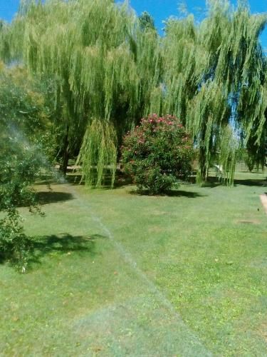 Outdoor Pictures 4