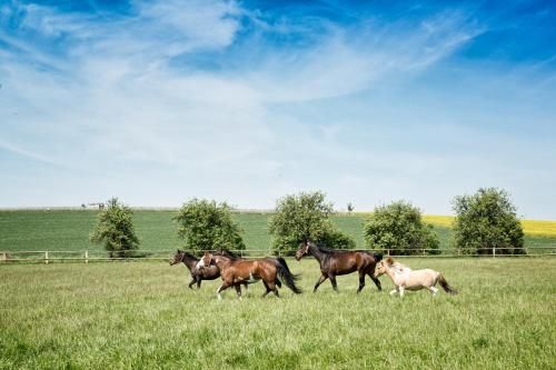 Outdoor Pictures 7