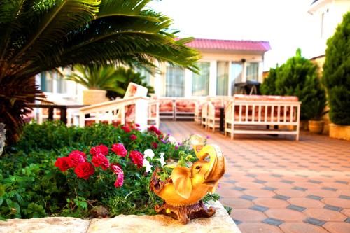 Outdoor Pictures 24