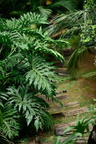 Outdoor Pictures 23