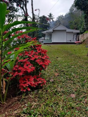 Outdoor Pictures 1