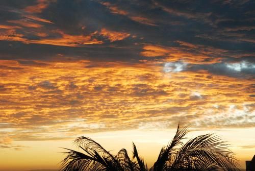 Outdoor Pictures 21