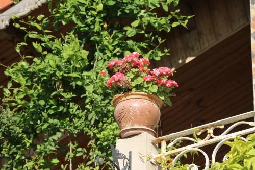 Outdoor Pictures 16