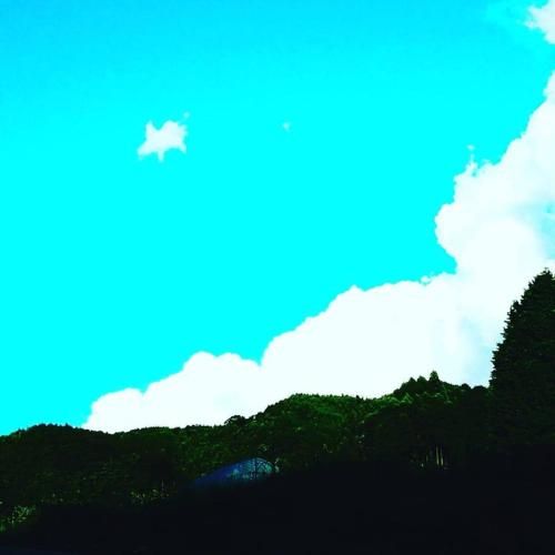 Outdoor Pictures 12