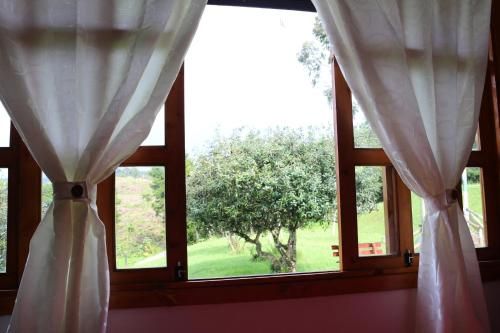 Outdoor Pictures 12